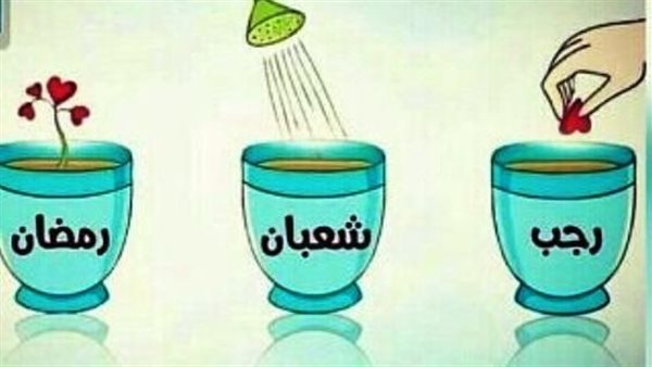 ميقاتُ النُّور: رجبُ الغرس، شعبانُ السُّقيا، ورمضانُ القِطاف