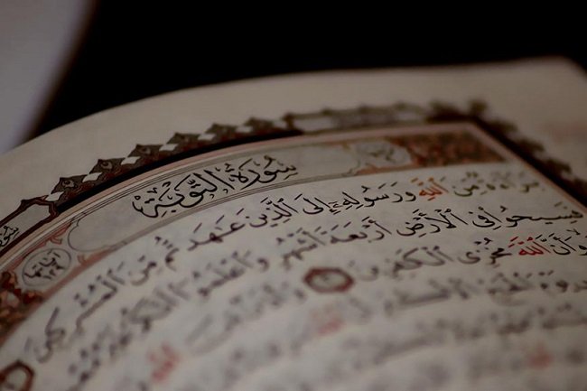 حدود العصيان في تفسير الأمثل للشيخ مكارم الشيرازي