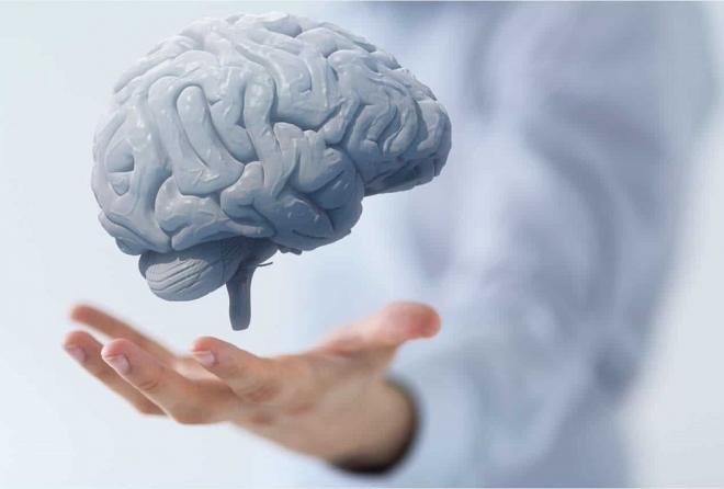 حينَ يستقيمُ العقلُ … تستقيمُ السياسةُ