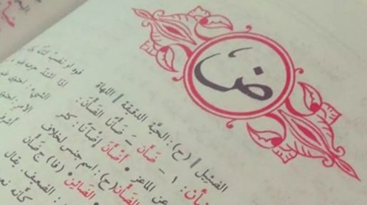 ذكورية اللغة العربية، إلغاء صامت لوجود انسانية المرأة