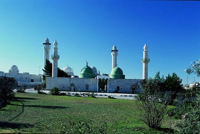 أجنحة الخلود
