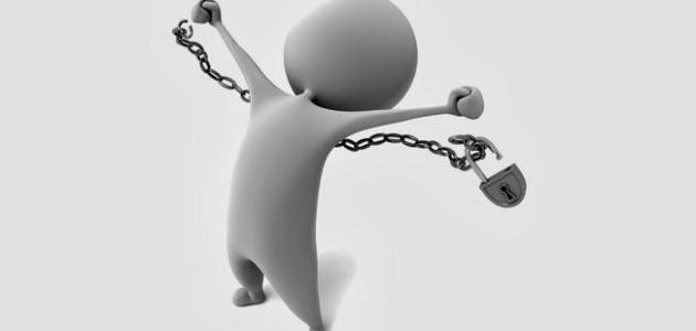فكرة الحرية بين الفلسفة والأدب والقانون