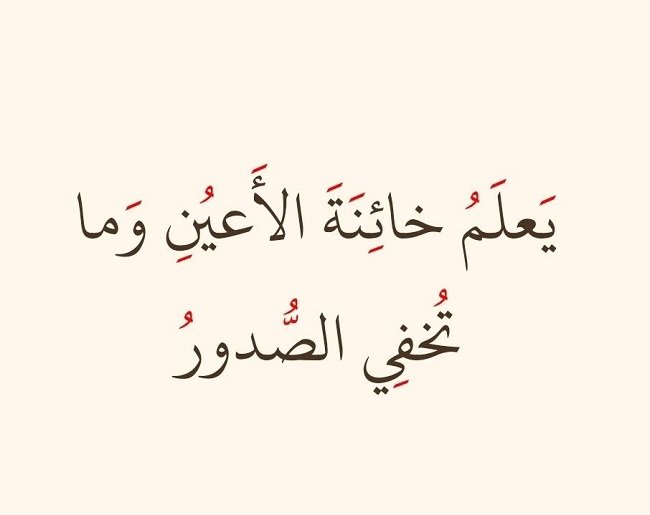 عراءُ السريرة وأُنسُ البصيرة