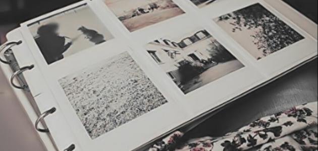 الذكريات.. نوارس وجدانية تحوم حول تخوم الذاكرة دون أن تغادرها