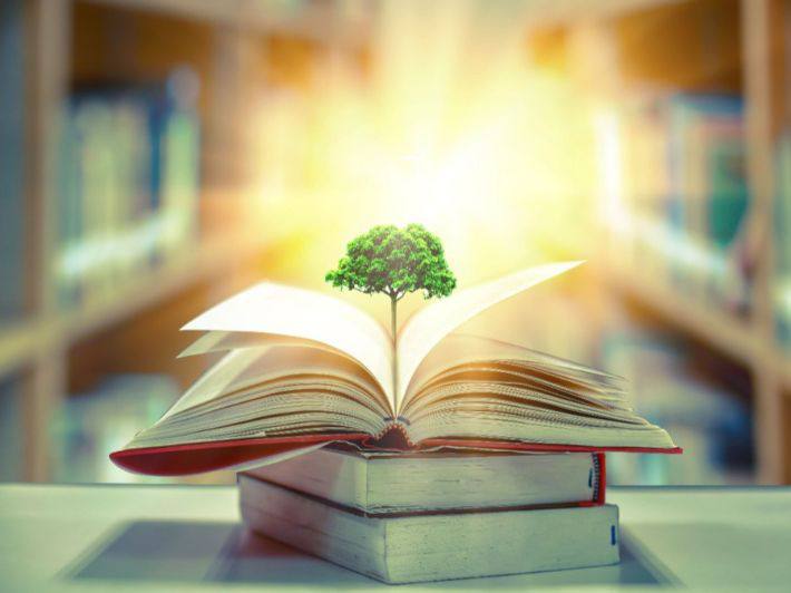 الثقافة العامة.. بين الإختصاص الأكاديمي والمعرفة الأفقية 
