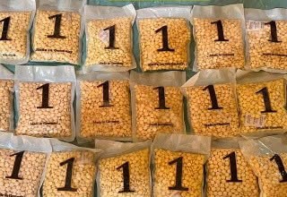 القبض على تاجر مخدرات في قضاء الرمانة بمحافظة الأنبار بحوزته 28 ألف حبة كبتاغون