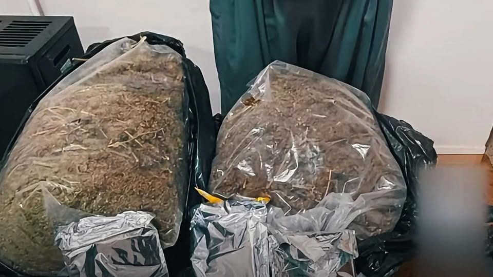 بعملية امنية خارج الحدود..أبطال مديرية مخدرات كركوك يطيحون بشبكة لتهريب المخدرات ويضبطون 20 كغم من الماريجوانا .