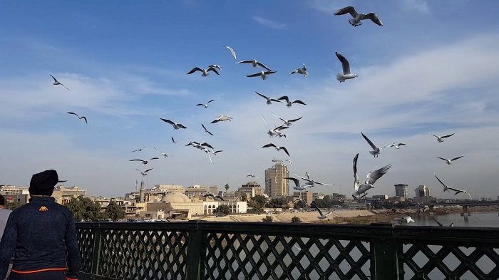 العراق.jpg