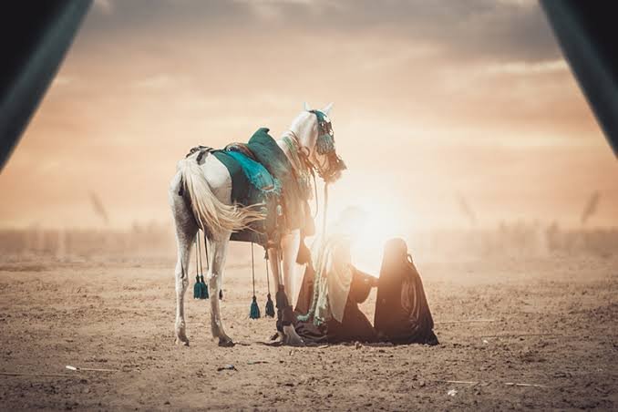 السَّيِّدَةُ رُقَيَّةُ بِنتُ الحُسَينِ : ​"يا أَبويَا رِدْتَكْ سالِم"
