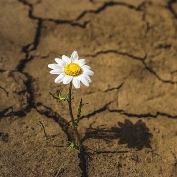 كيف نعيد الروح إلى مسار البحث؟