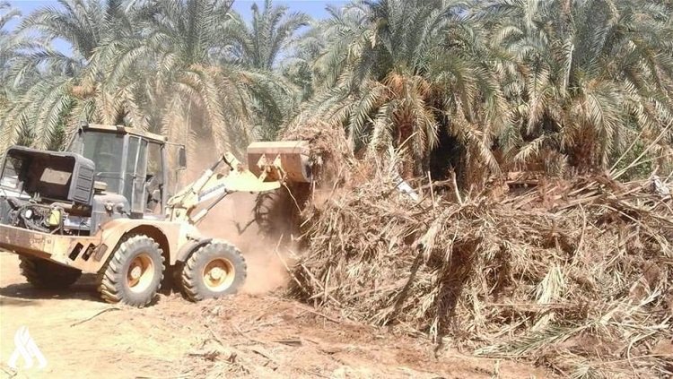 تجريف_البساتين.jpg